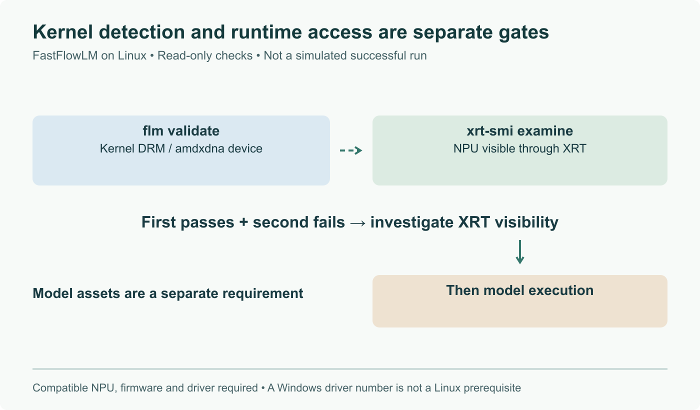 Linux diagnostic chain: flm validate checks the kernel DRM device; xrt-smi examine checks XRT visibility used by model execution. Passing the first gate does not prove the second. Conceptual diagram, not a terminal capture.