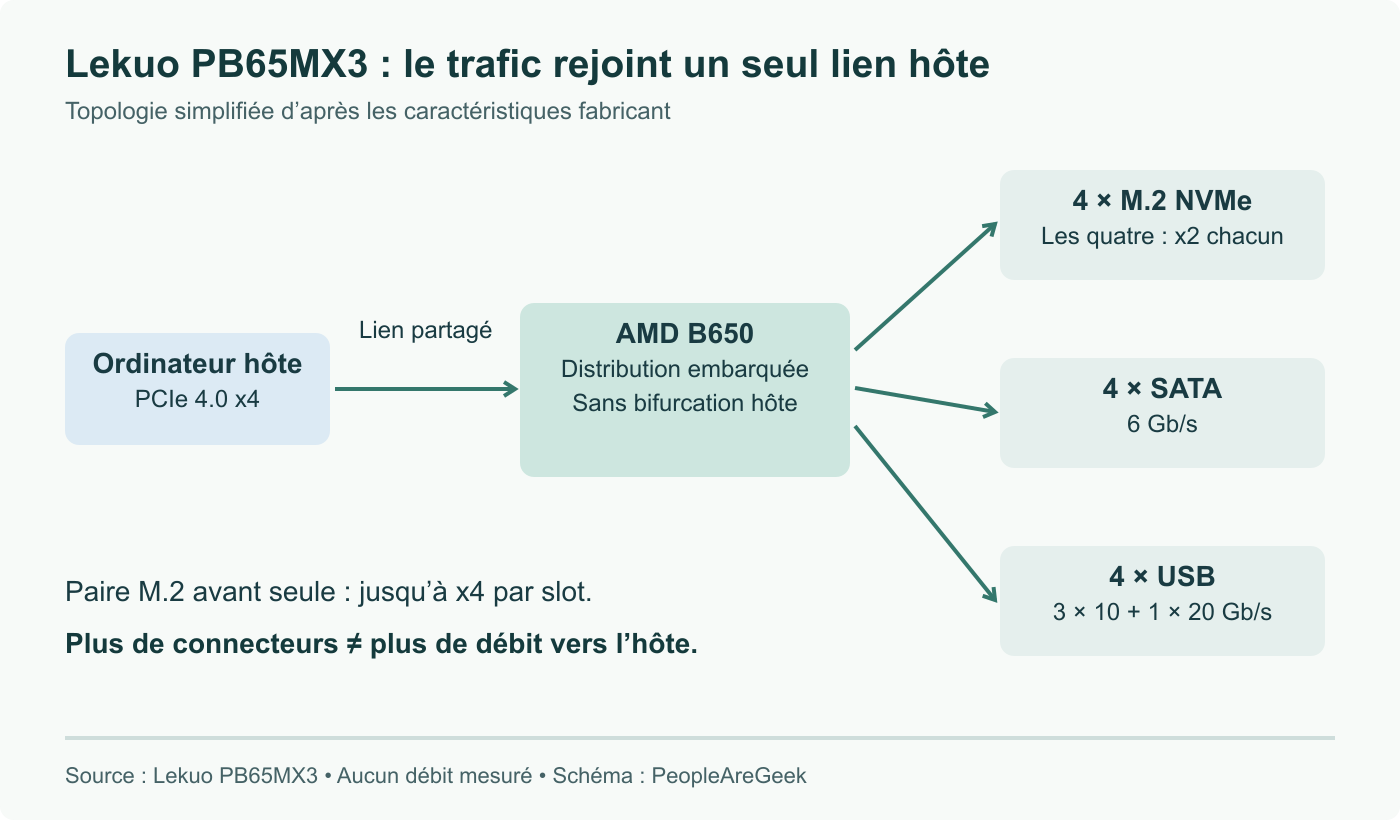 Les connexions NVMe, SATA et USB de Lekuo partagent un lien hôte PCIe 4.0 x4. Quatre M.2 occupés négocient chacun x2 ; la paire avant seule peut négocier x4. Ces liens ne s’additionnent pas côté hôte.