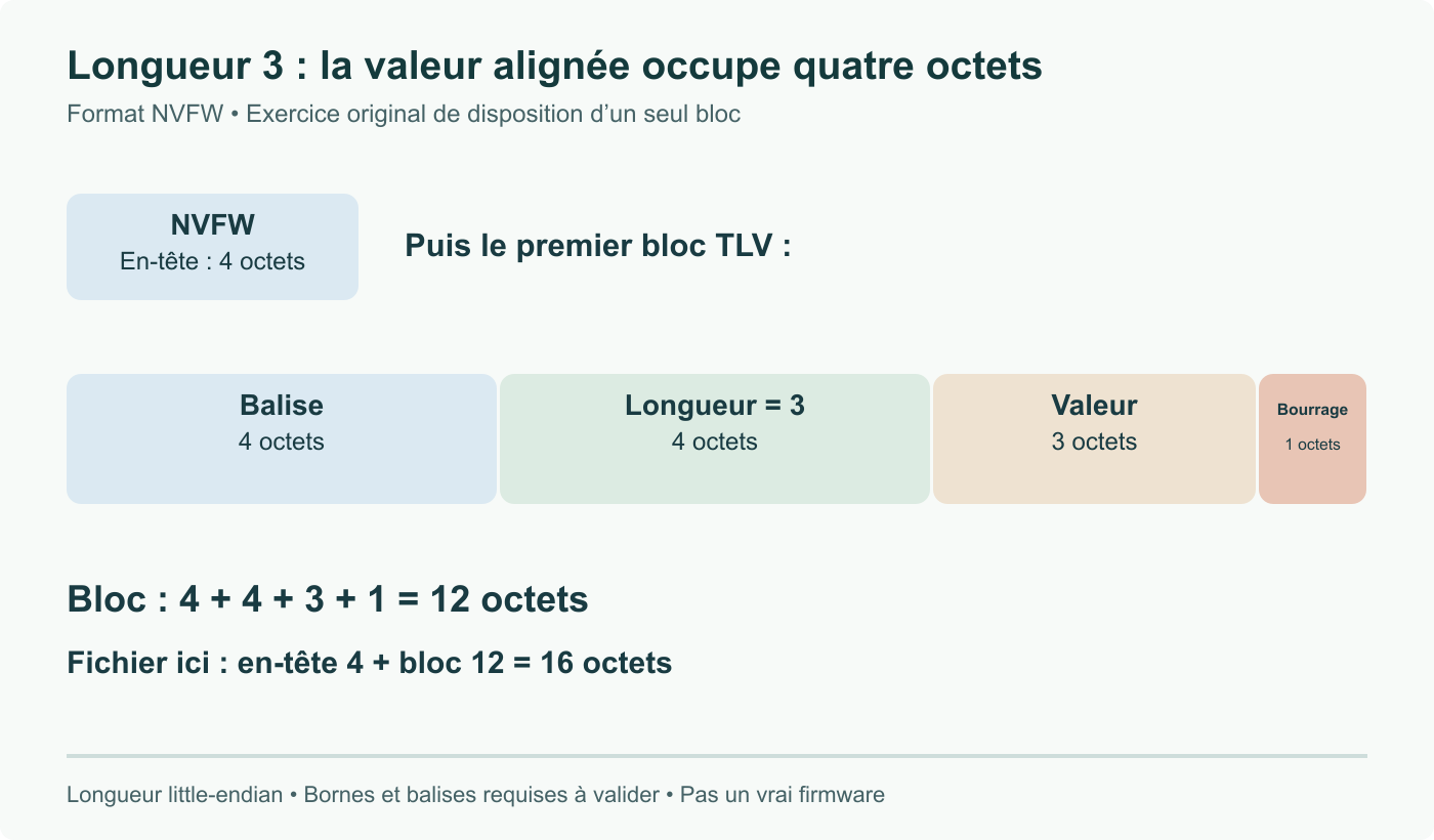 Exercice original NVFW : en-tête de 4 octets ; bloc fictif avec balise 4, champ longueur 4, valeur 3 et remplissage 1, soit 12 octets. La longueur indique 3. Ce n’est pas un vrai fichier firmware.
